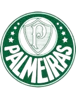 Logo Palmeiras FC U20