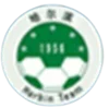 Harbin Team