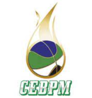 Logo Puerto Montt