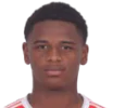 Vinicius Mello