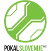 Cúp Bóng đá Slovenia