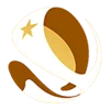 Siêu cúp Chile