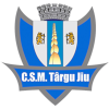 Logo CSM Targu Jiu