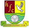 Holyport F.C.