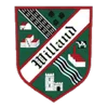 Willand Rovers