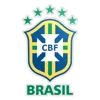 Giải bóng đá Vùng Brazil