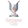 Cúp Sân vận động Emirates